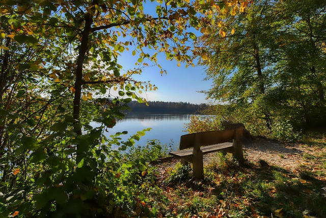 再一次引发 再一次引发