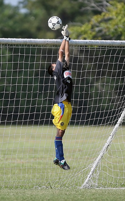 如果管理層 如果管理層