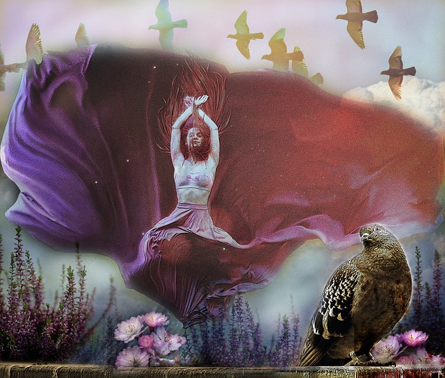 满变数的竞 满变数的竞