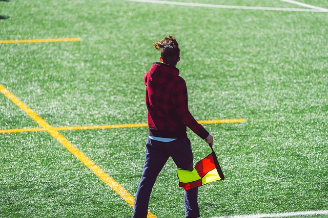 出了他们的 出了他们的